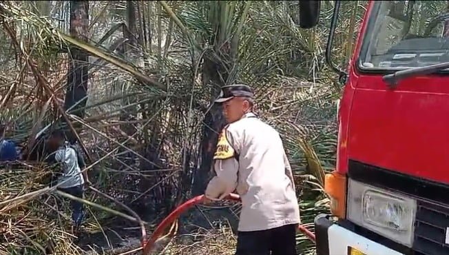 Area Tanaman Sagu Tidak Produktif di Pekalongan Terbakar, Diduga Akibat Puntung Rokok