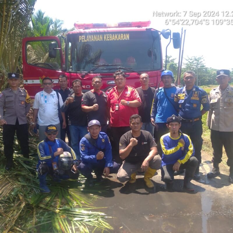 Area Tanaman Sagu Tidak Produktif di Pekalongan Terbakar, Diduga Akibat Puntung Rokok